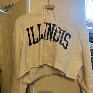 University of Illinois cropped hoodie